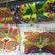 Digital Flag banner printers with dual DX5113 heads direct printing fabric