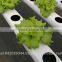 Equipment for Vertical Farming, Hydroponic NFT and Hydroponic Systems