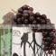 lifelike artificial fruits,artificial grapes