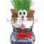 Multile Colors Environmental Quality Toys Indoor