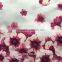 beautiful pink flower rain print fabric for home textile women clothing