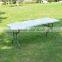 Outdoor White Folding Blow Molding Table