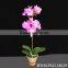 Artificial Orchid Flowers Bonsai for Christmas Decor