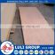 birch plywood full core to USA and canada market