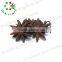 Hot selling star aniseed star anise} with CE certificate