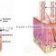 Top seller! Fractional co2 laser vaginal tightening/ co2 laser rf