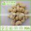 Snack Food Cashew Nuts W320 Coconut Roasted Cashew