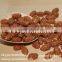 Crispy flavoured coated peanuts for wholesale