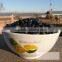 Black kidney bean color sorting machine