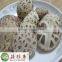 High Quality Food 100% natural Shiitake Mushroom with free samples