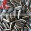Cheap Price of Shelled sunflower seeds in Bulk
