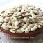 wholesale Pumpkin Seed Show White new crop with best price