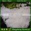 Magnesium Chloride Granules