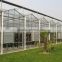 Greenhouse hydroponics system vertical for tomato