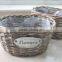 100%Handmade white wicker cup shape flower plant basket wicker baskets for plants