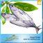New Coming Wholesale Seafood Skipjack Tuna Fish