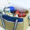 Promotional fruits food cans ice cooler bag portable beer can cooler