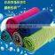 Soft Breathable instand Cooling sport iceTowel for Camping Hiking Gym