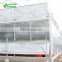 High Quality Clear Polycarbonate Greenhouse Agricultural Greenhouse