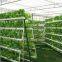 Hydroponic Glass Greenhouse, Glass Greenhouse with Hydroponic System