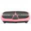 2020 fitness machine whole body vibration plate for exercise