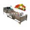 Industrial  Pepper Bubble Washer Cleaner Equipment fruit  Vegetable Washing Machine price