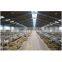 Steel Structural Building Fabrication Poultry Farm Shed for Pig/Cow/Goat in China