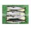 Frozen Japan yellowtail price with good quality
