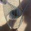 Service Life Of About 30 Years Stainless Steel Woven Mesh Not Easy To Rust