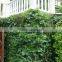 wholesale high quality artificial plants for green wall/artificial green wall/artificial ornamental plants