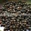Pepper nut/dried black pepper nut/cheap from Vietnam