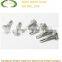 Customized Self drilling Screw, roofing screw