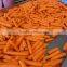 good quality new crop carrot