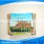 2015 Souvenir Polyresin Fridge Magnet /3D Fridge Magnet