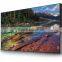 Hotsale shopping mall full HD 55 inch lcd video wall screen