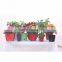 Self-water flower pots,plastic painting flowerpot,pot