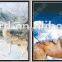 Stock Lenticular 3D pictures WOLF IN SNOW for sale