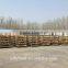 low price fresh ginger from China