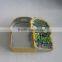 Plant VS zombie money saving coin bank