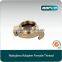 65A nakajima type brass female thread international shore connection shore connector