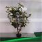 artificial plant Camellia
