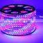 5050 SMD 220V 110V flexible led light strip,high voltageled strip light