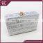 Guangzhou customized fashionable acrylic clutch handbag with metal chain                        
                                                Quality Choice