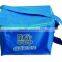 Pp woven foldable custom insulated cooler promotional cooler bag