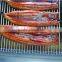 Frozen Roasted Eel