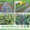 60gsm black pp spunbond non-woven fabric agriculture weed control