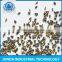 steel plate surface blast cleaning cut wire shot cw1.0mm
