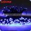 LIDORE 50L Blue LED mini Garden Solar String Light