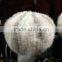 wholesale colored mink fur hat H4