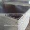 black/brown film faced plywood 12,15,18mm poplar core from Shandong China